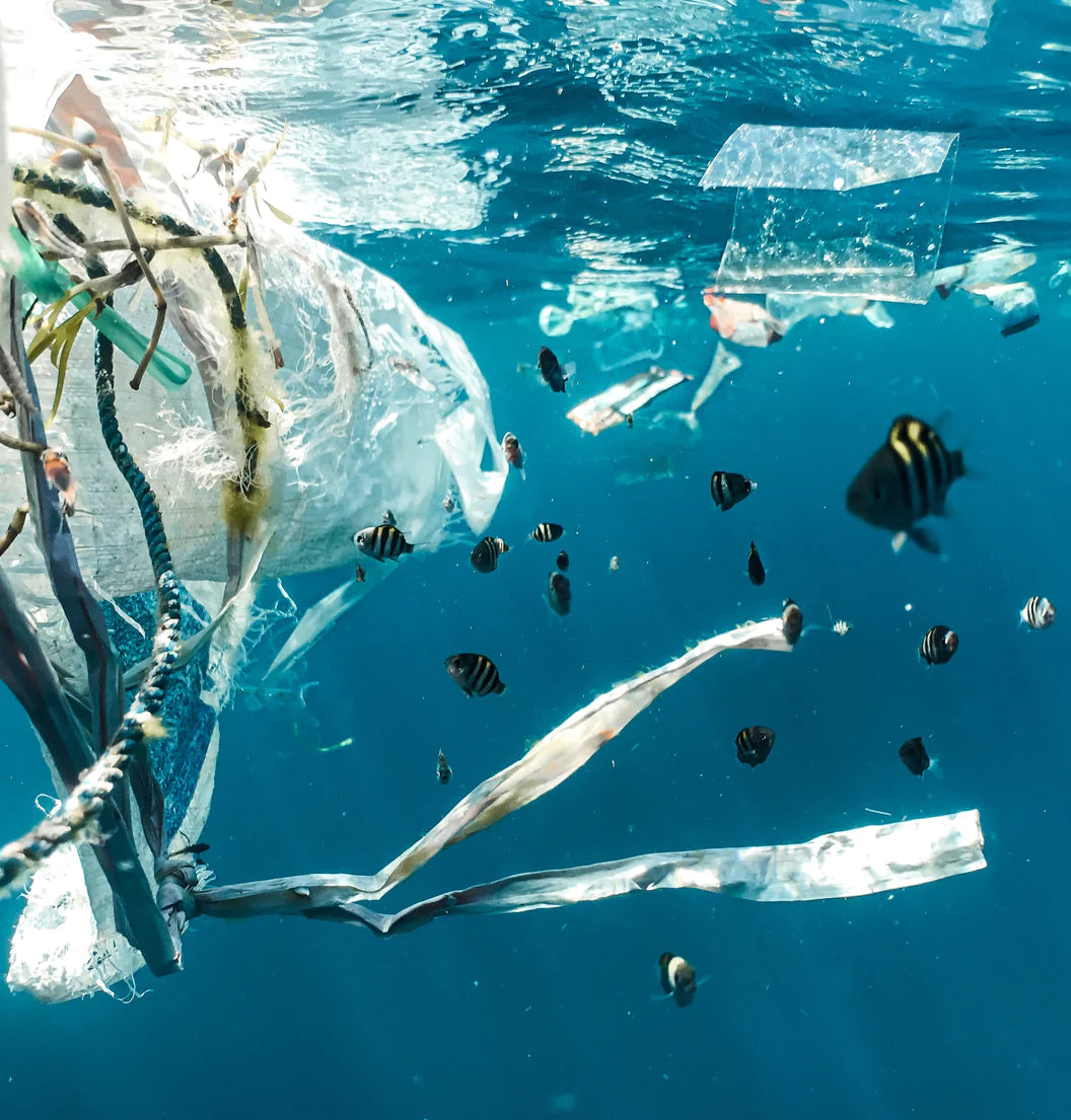 A Year of Plastic Free Living